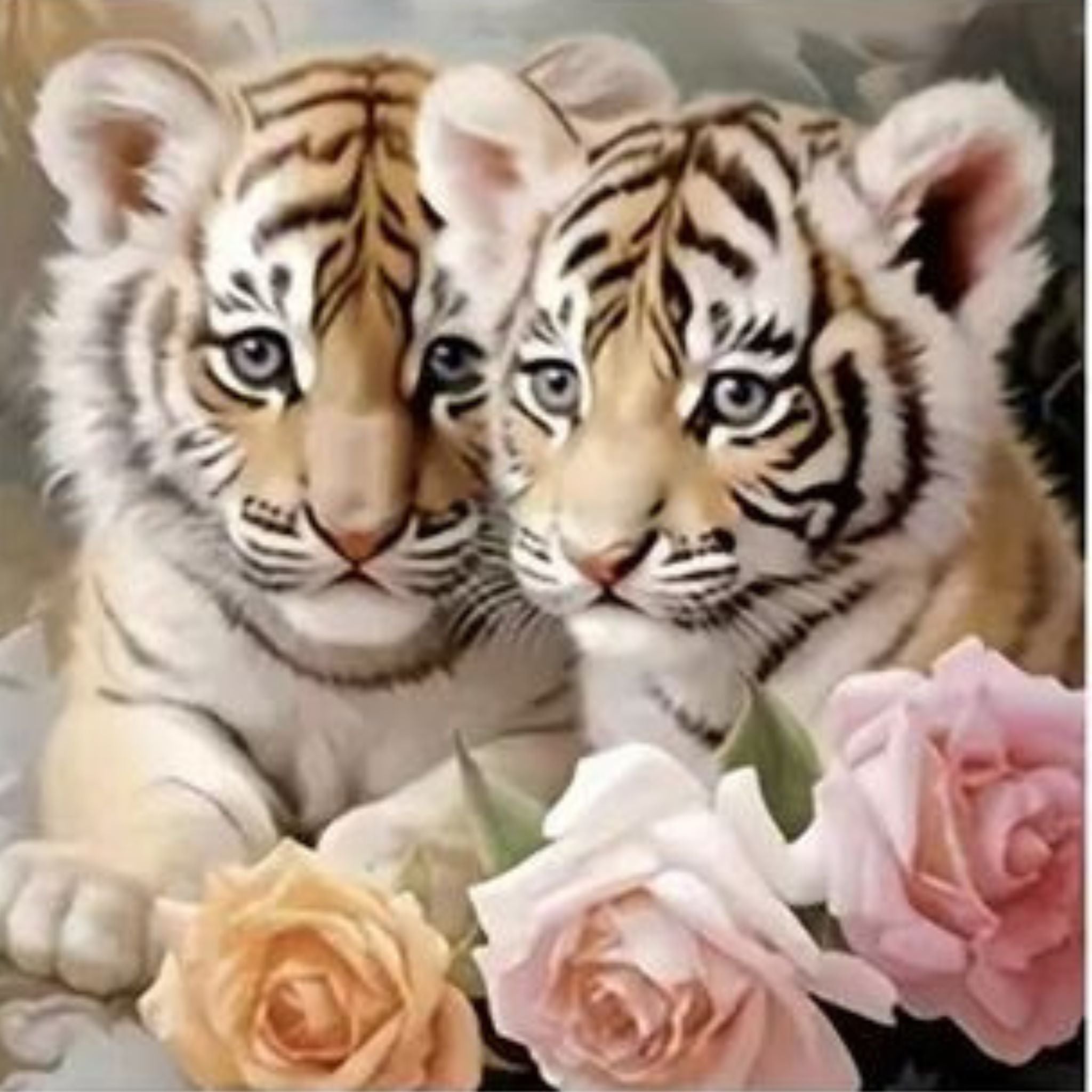 la Troisième du Kit  diamond painting tigres blancs 30 par 30cm. Diamants ronds