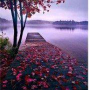 A18 - Peinture Diamant - Quai et Pétales Roses au Crépuscule 30x40 - Art & Trésorts