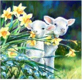 A36 - Peinture Diamant - Agneaux et Jonquilles Printanières 30x30 - Art & Trésorts