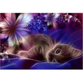 Kit Diamond Painting chat féerique fleurs 30 par 40cm. Diamants irréguliers