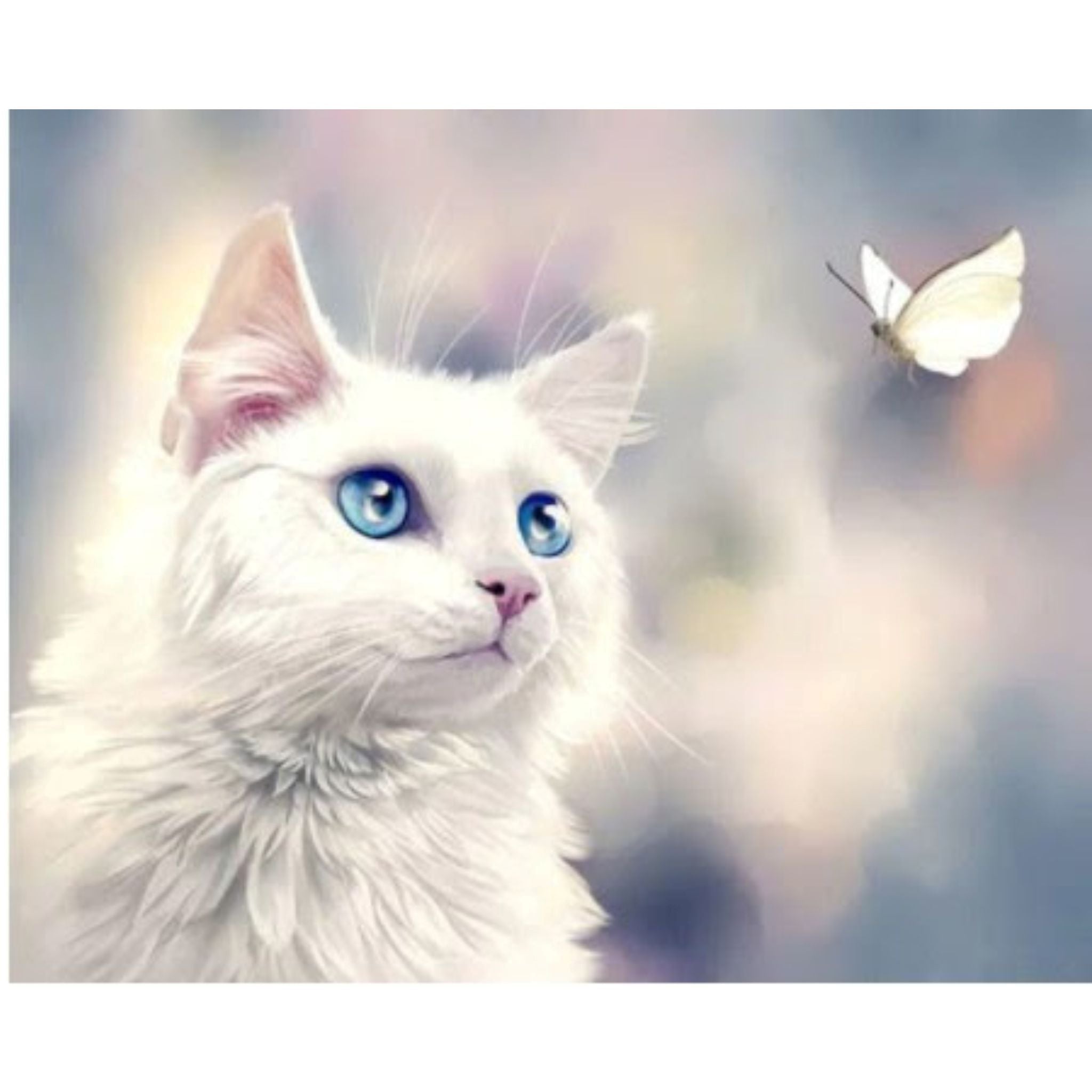 Kit Diamond Painting chaton blanc papillon 20 par 30cm. Diamants ronds