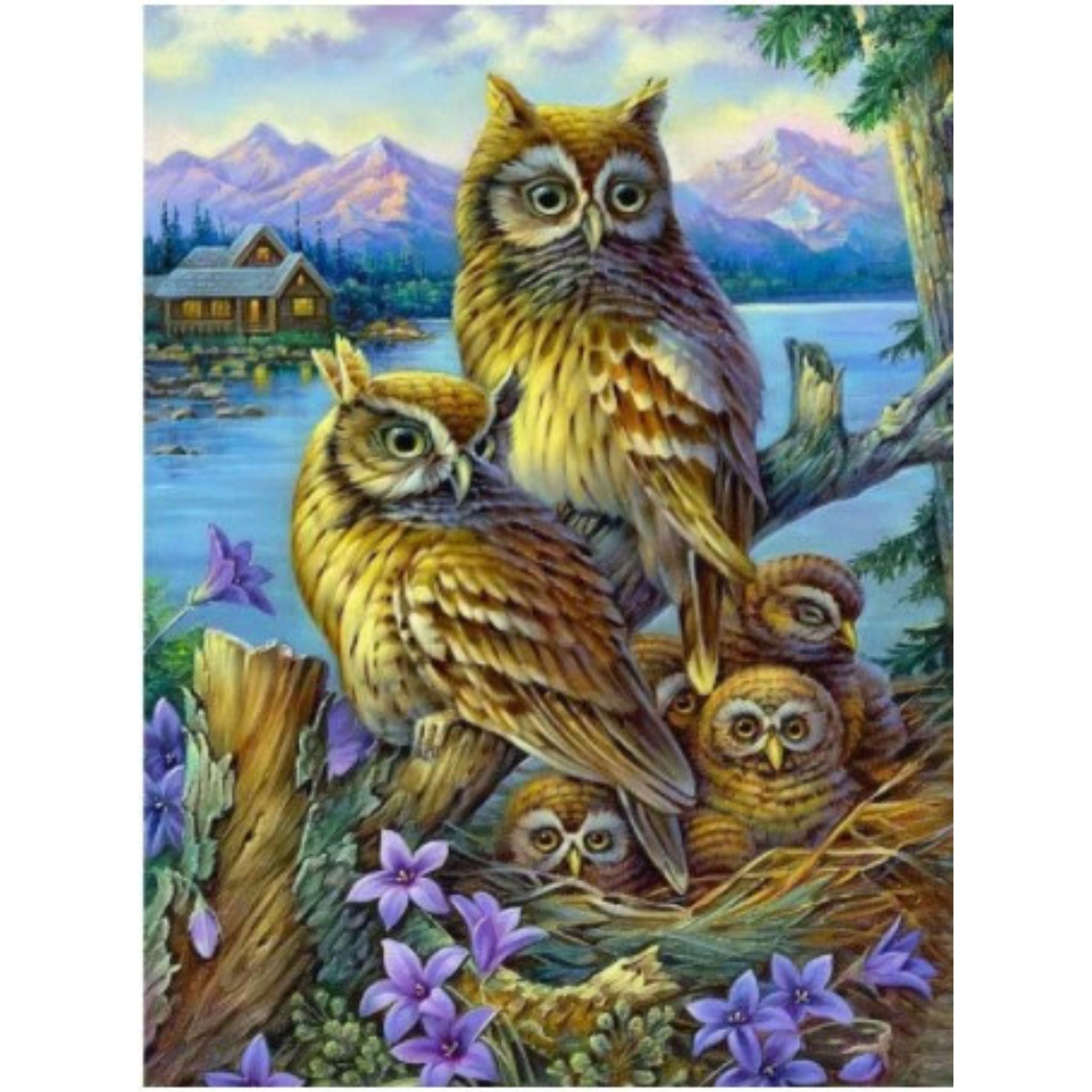 Kit Diamond Painting famille hiboux lac 20 par 30cm. Diamants ronds