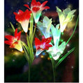 Kit diamond painting lys arc-en-ciel lumineux 30 par 40cm. Diamants ronds