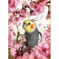 Kit diamond painting perroquet fleurs cerisier 30 par 40cm. Diamants ronds