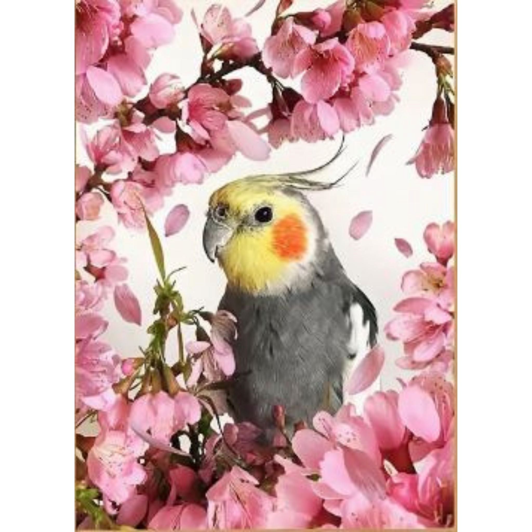 Kit diamond painting perroquet fleurs cerisier 30 par 40cm. Diamants ronds