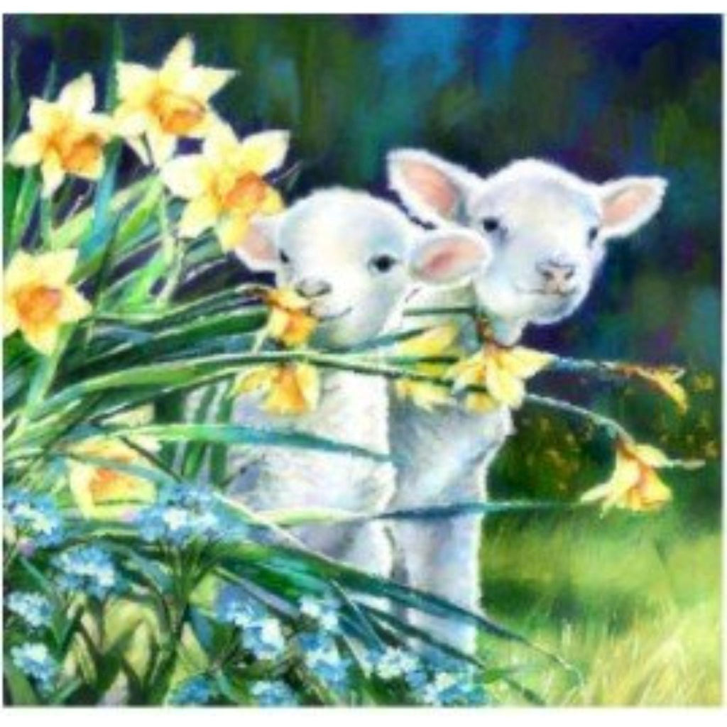 Peinture Diamant Deux adorables agneaux blancs 30 par 30 | Diamants Ronds - Art & Trésorts