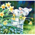 Peinture Diamant Deux adorables agneaux blancs 30 par 30 | Diamants Ronds - Art & Trésorts
