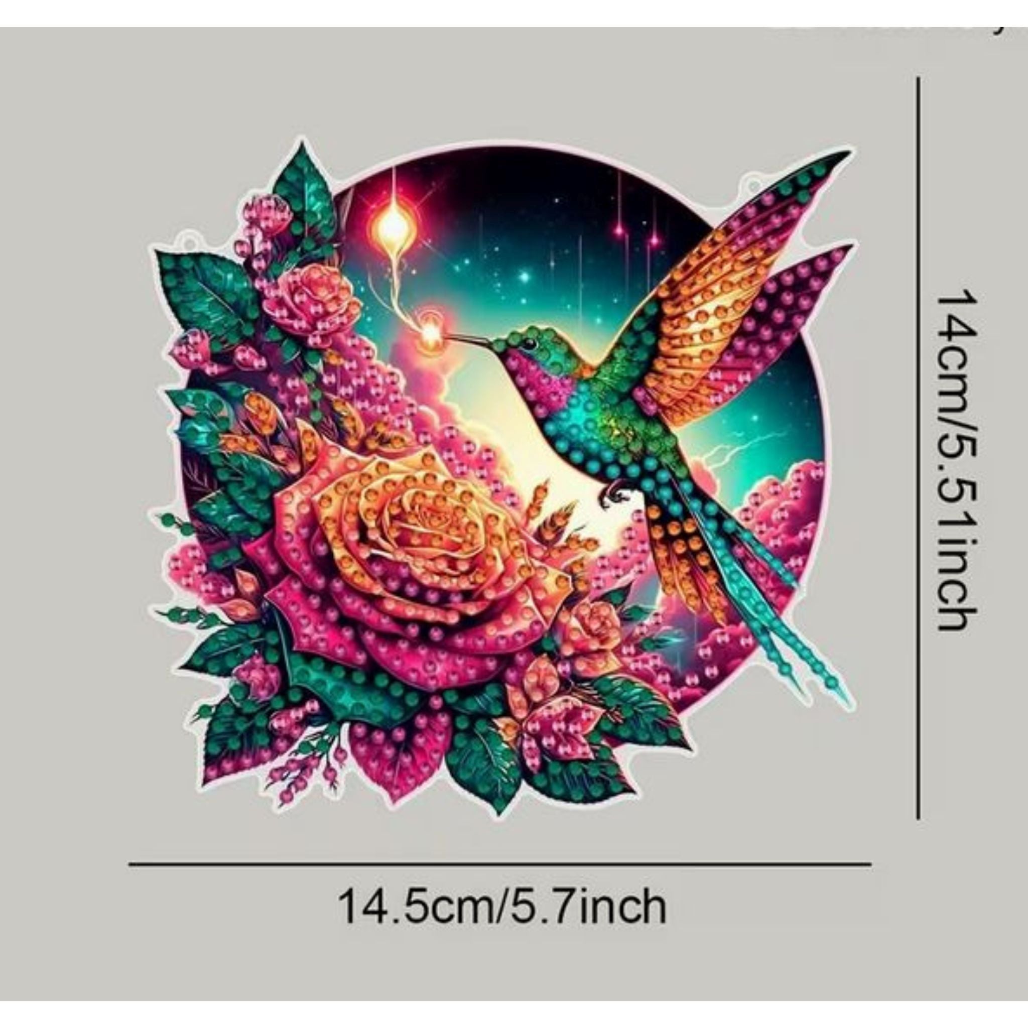 grandeurs Un colibri éclatant aux couleurs tropicales butinant des roses roses 14,5 par 14 cm