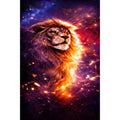 Kit diamond painting lion majestueux ciel étoilé 30 par 40cm. Diamants ronds