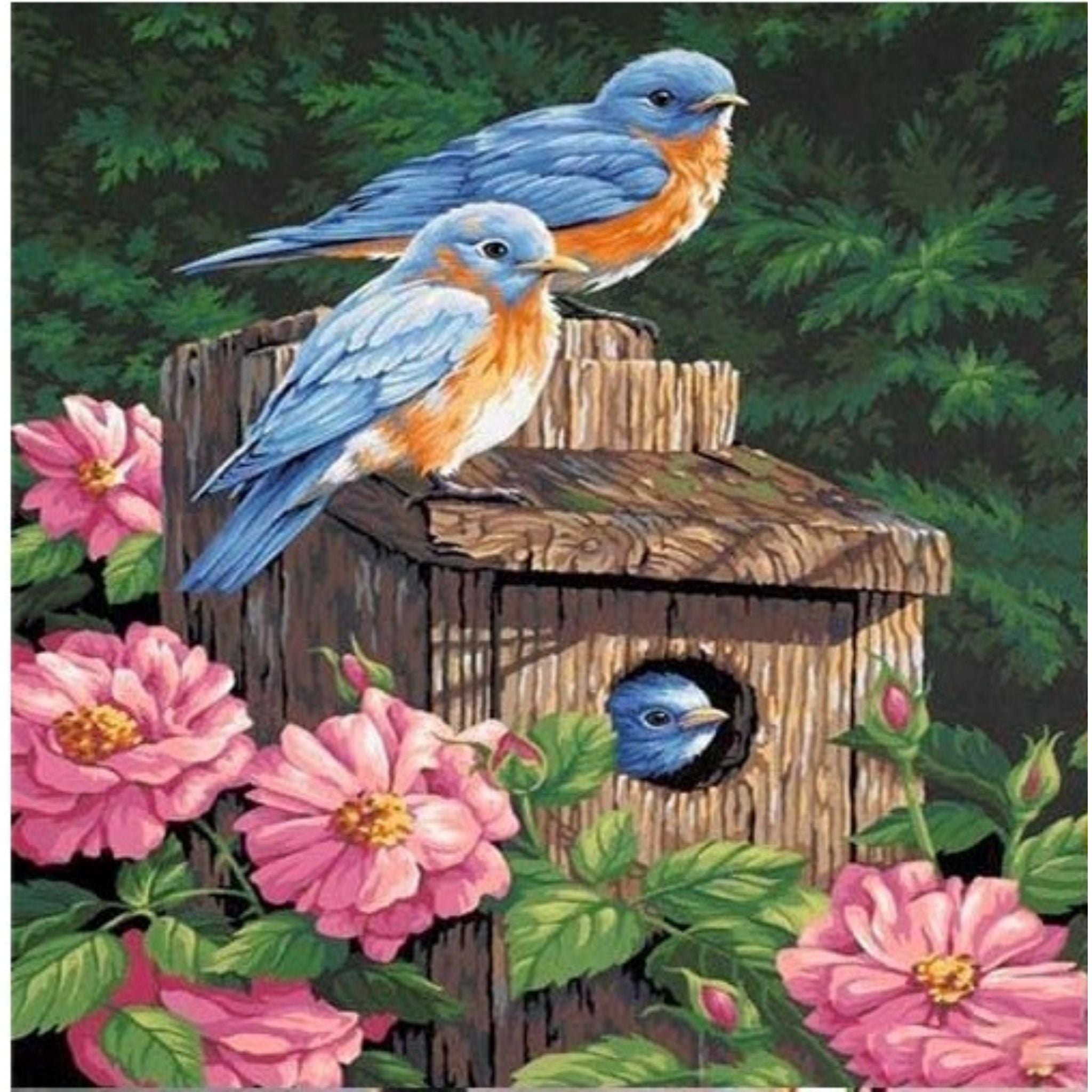 Kit complet diamond painting oiseaux bleus nichoir 30 par 40cm. Diamants ronds,